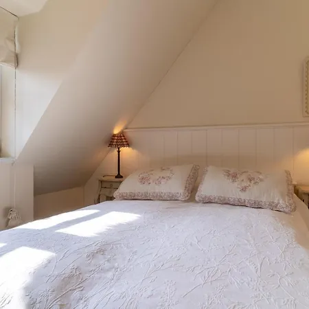 Tatil Evi Reetdachhaus Suutje Reetdachhaus Suutje *